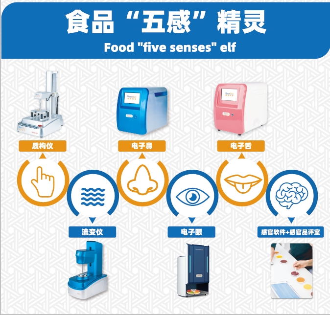 5全类